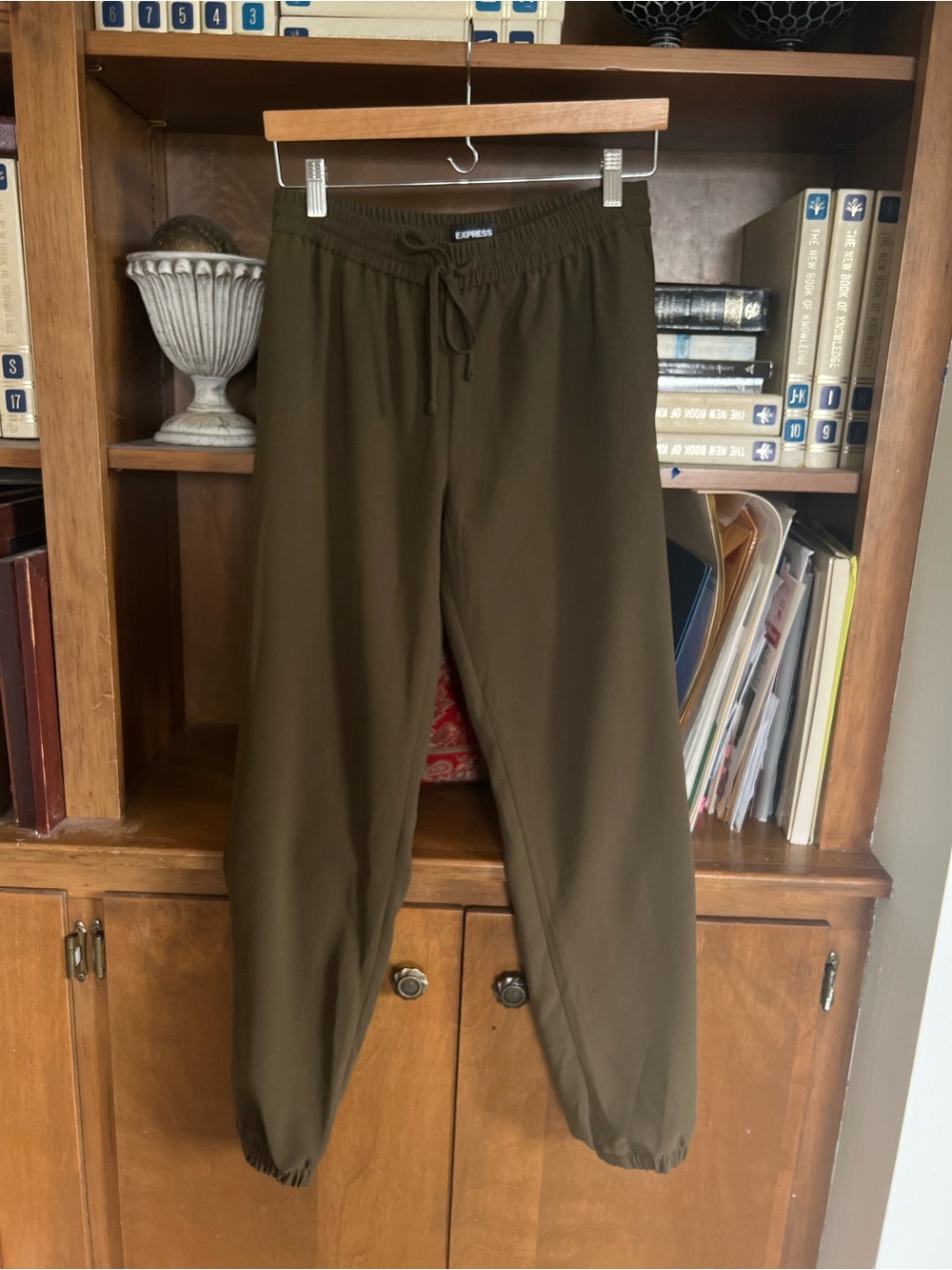 Express Olive Green Drawstring dress pants.